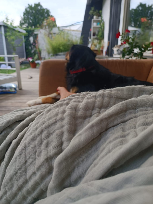 Über 25.000 zufriedene Kunden ♥️